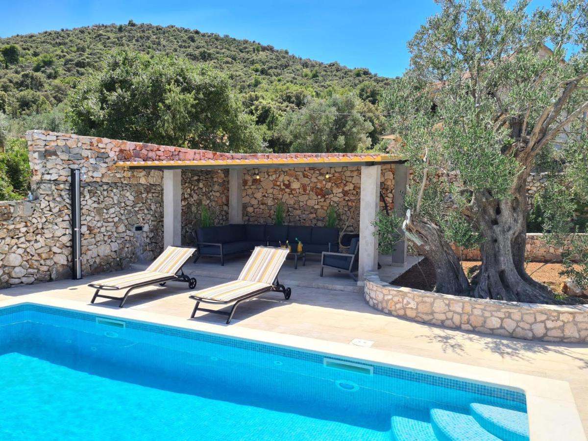 Olive Tree - House With Pool Villa Vinišće Kültér fotó